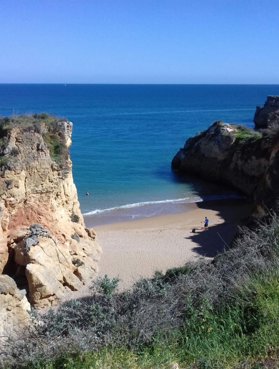 thumbnail_20190319_144140-1[1].jpg
