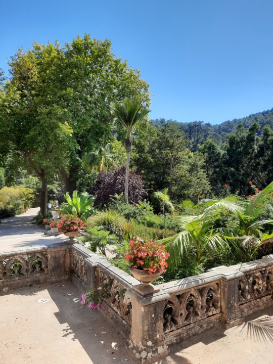 Sintra 6.jpg Sintra 6.jpg