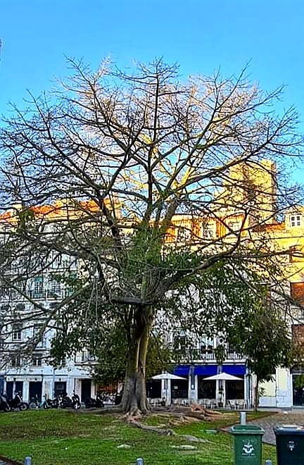 20201121_104646.jpg