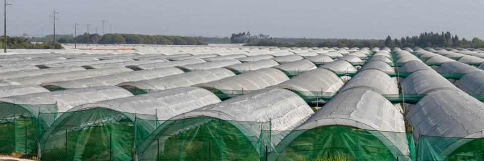 estufas_slider_1_1024_2500.jpg