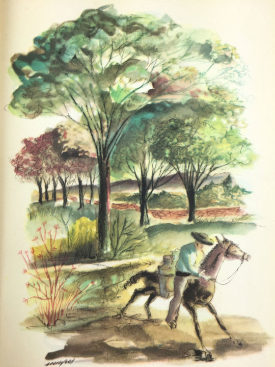 w192-27c.jpg
