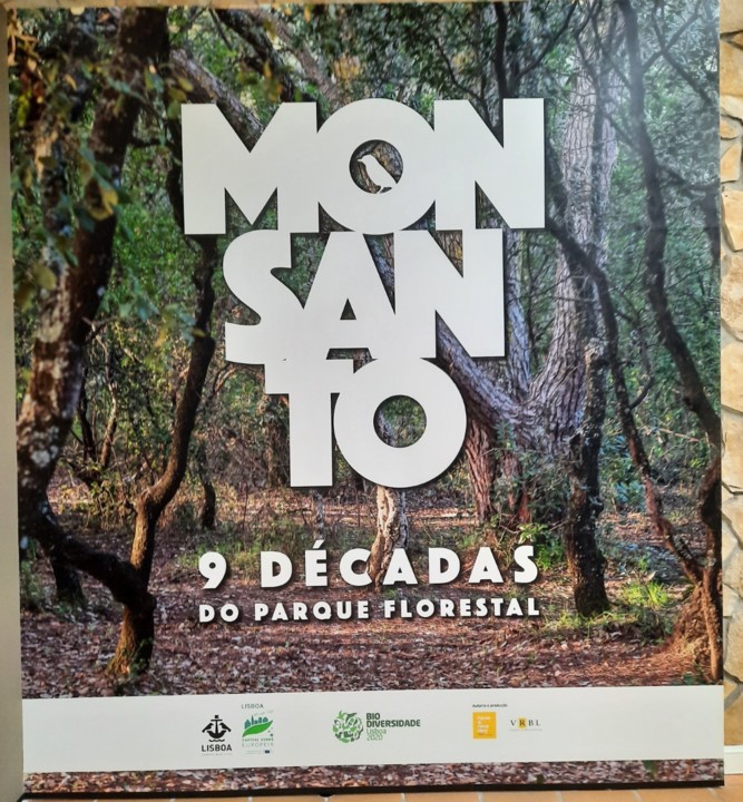 Monsanto 1.jpg Monsanto 1.jpg
