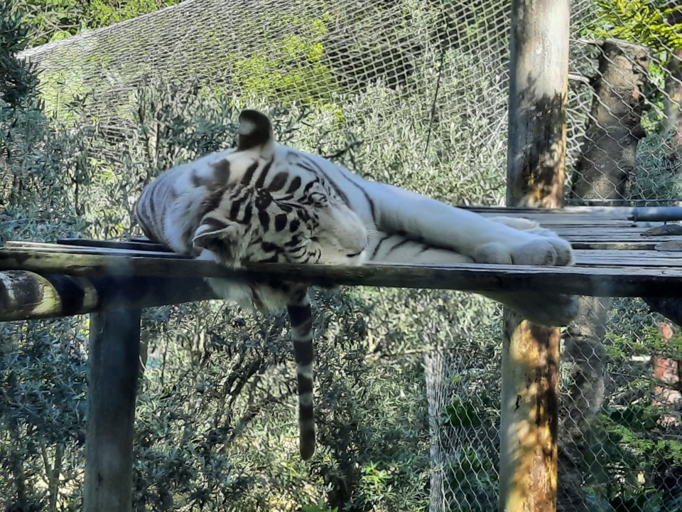 zoo 2 (2).jpg