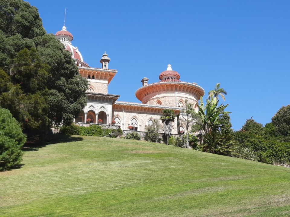 thumbnail_20200903_155525[1].jpg