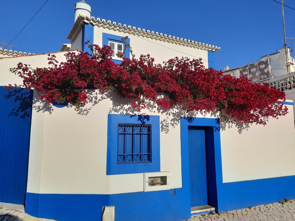 thumbnail_20210812_190011[1].jpg