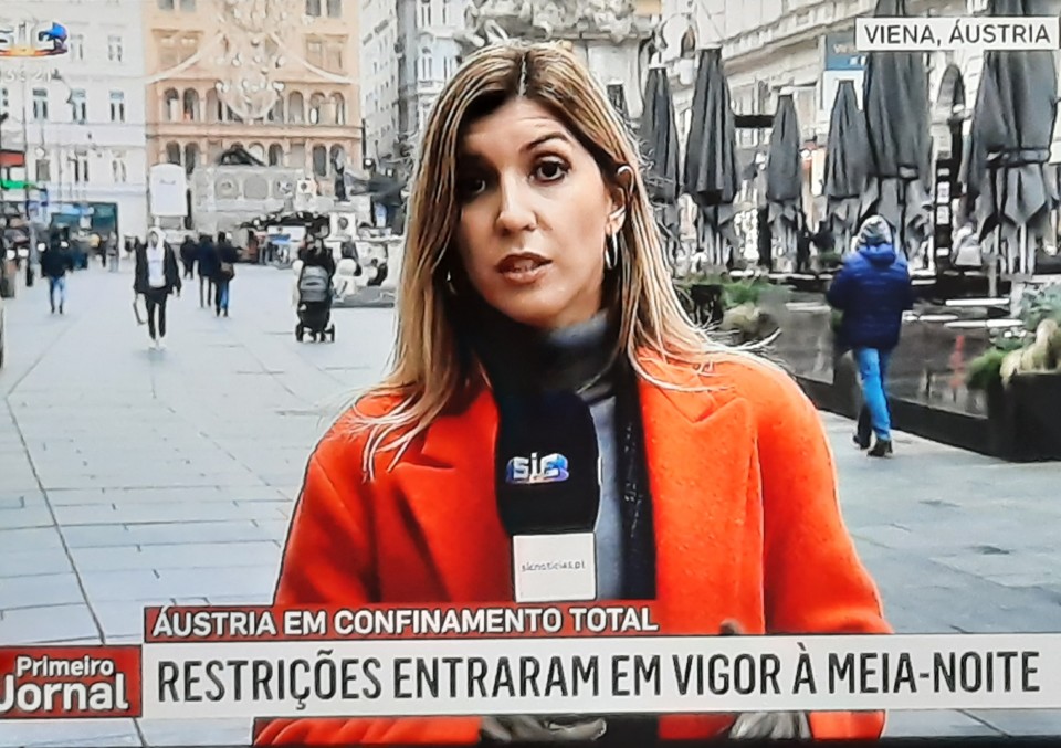 Viena.jpg