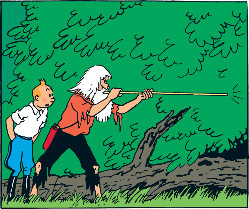 C05_Oreille-p49-a2-color.jpg