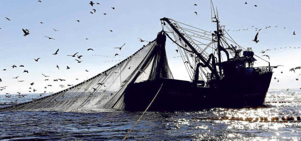 pesca.jpg