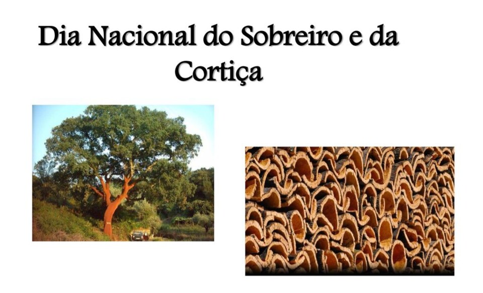 slide_1.jpg
