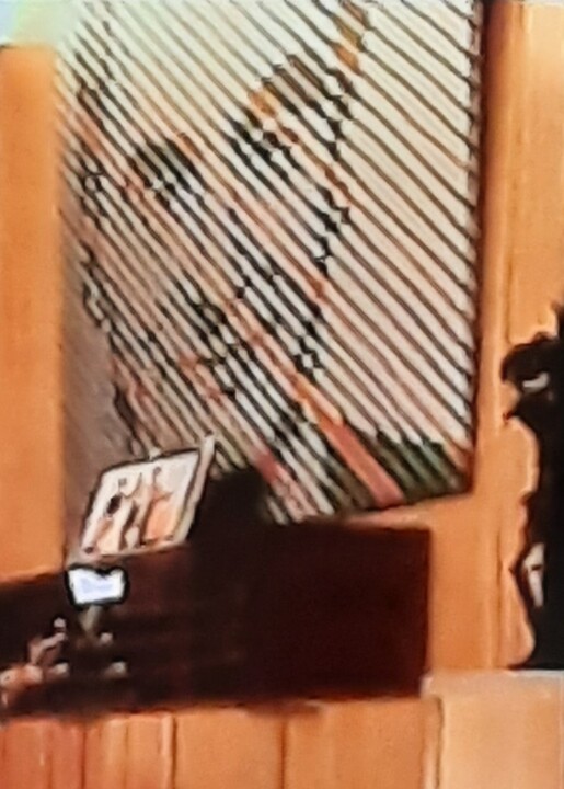 Cavaco 1.jpg