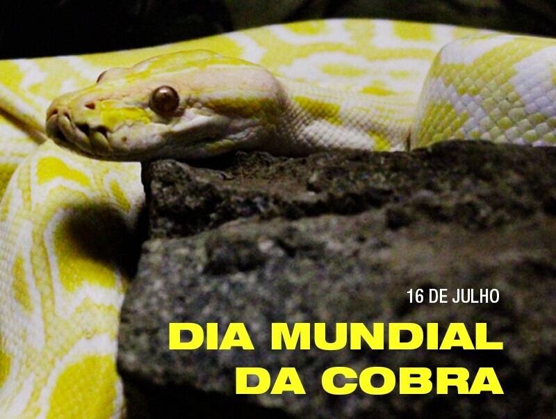 22326641_VfM2E.jpeg