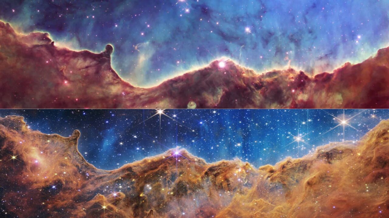 COMPARISON-CARINA-.jpg