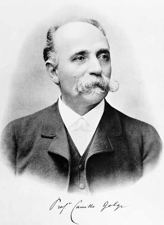 008-Camillo_Golgi.jpg
