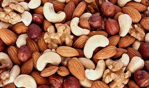 nut-day1.jpg