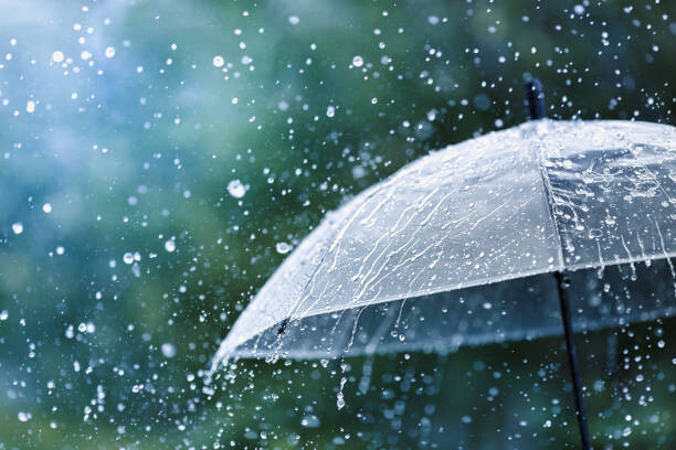 istockphoto-1257951336-612x612.jpg