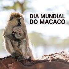 22403055_zricS.jpeg