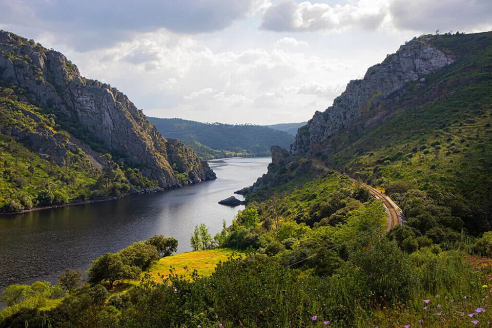 paisagem.jpeg