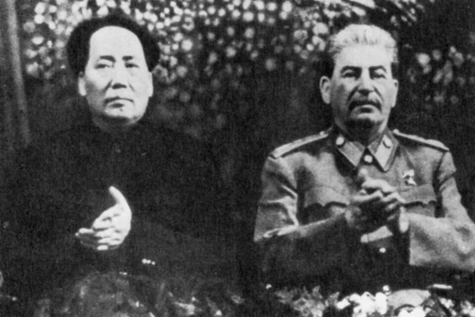 mao.webp