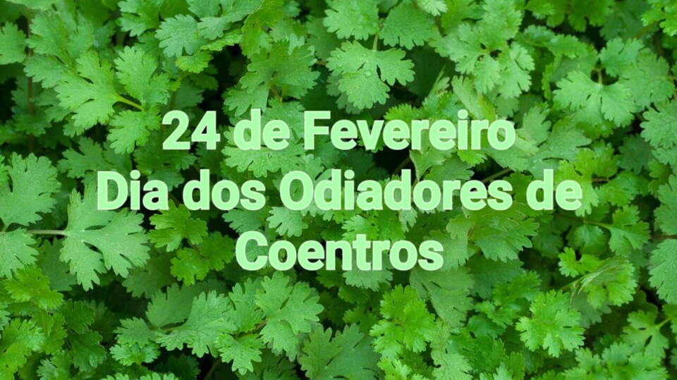 coentros.jpeg