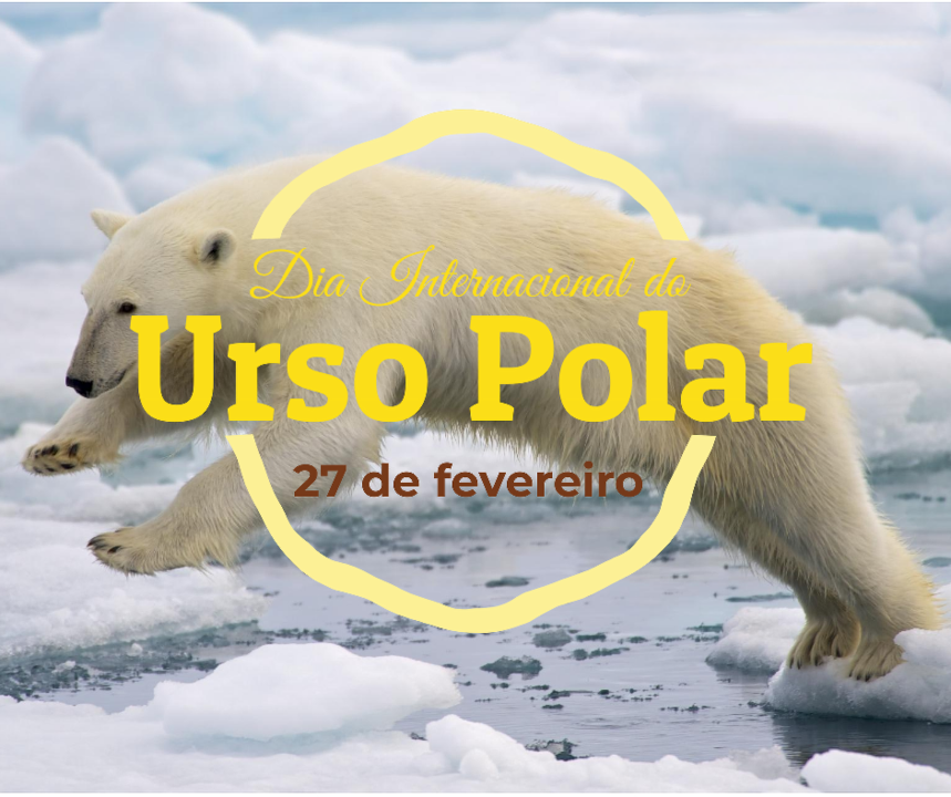 urso.png