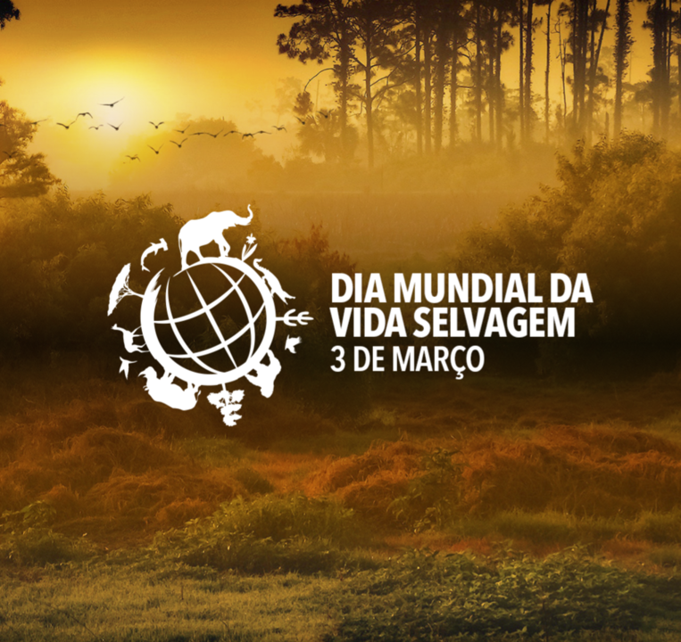 vida selvagem.png