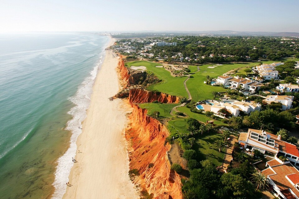 vale lobo.jpg