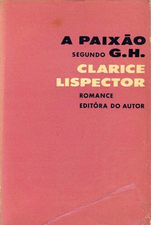 PAIXÃO.jpg