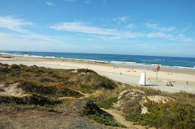 capa_13877.jpg