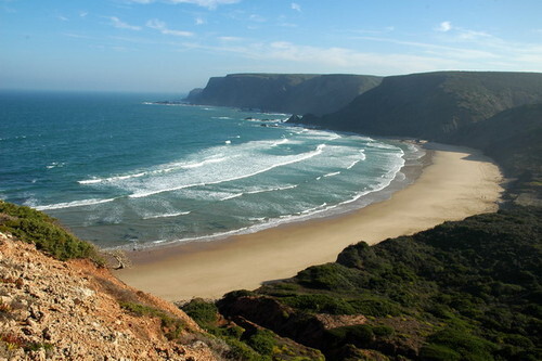 Ponta ruiva.jpeg