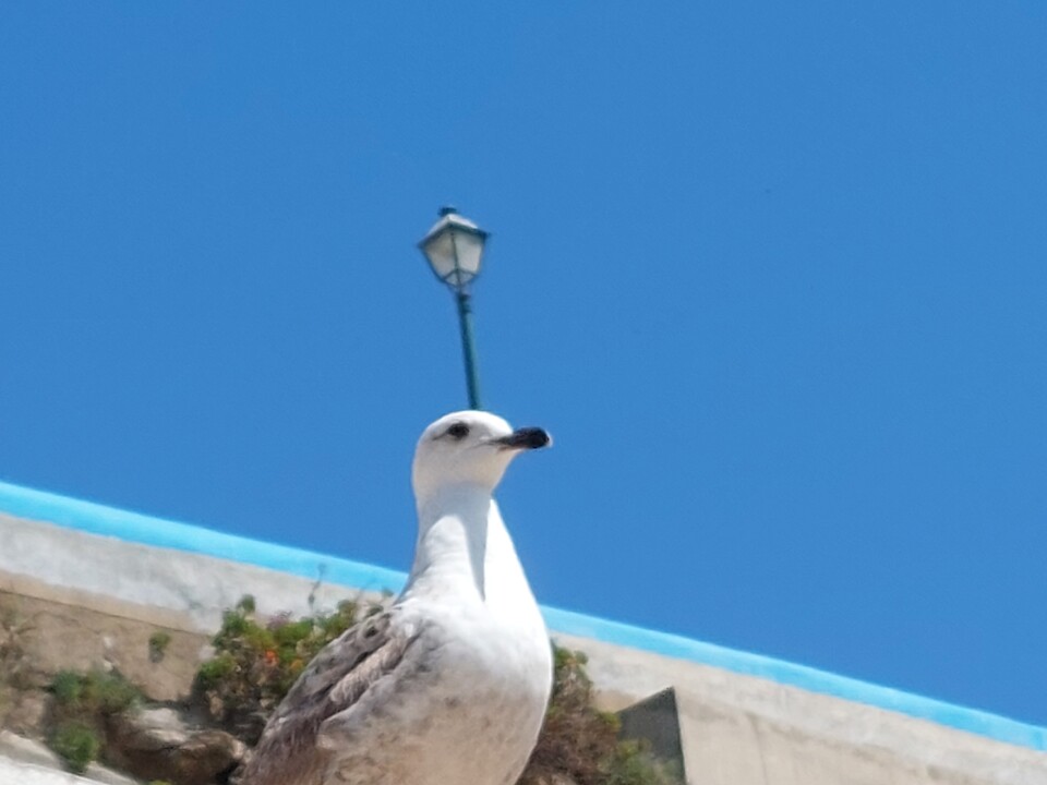 Clube Naval 3.jpg