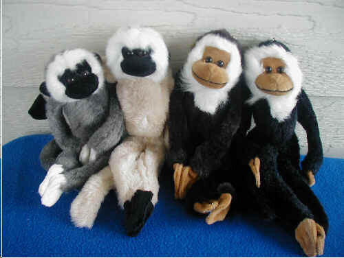 Monkey_104colors[1].jpg