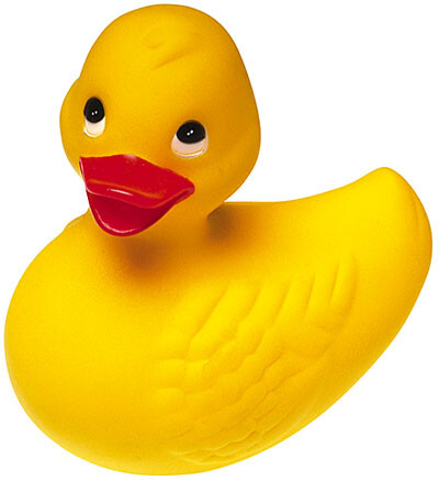 pato[1].jpg